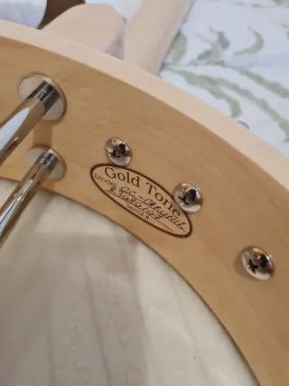 Banjo Gold Tone CC-Carlin 12