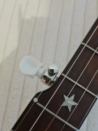 Banjo Gold Tone CC-Carlin 12