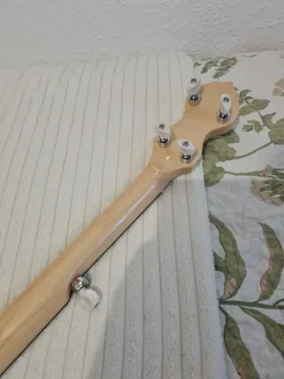 Banjo Gold Tone CC-Carlin 12