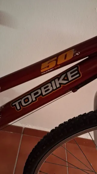 Bicicleta infantil Topbike