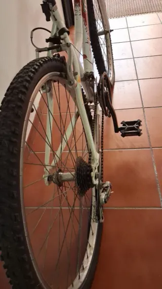 Bicicleta infantil Topbike