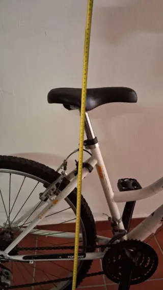 Bicicleta infantil Topbike