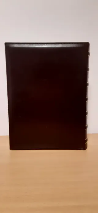 Álbum de fotos Hofmann piel efecto cocodrilo