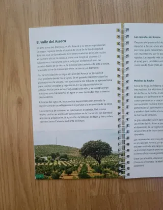 Guía de Bolsillo de Tavia (Portugal)