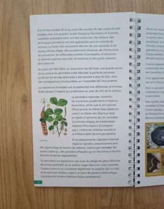 Guía de Bolsillo de Tavia (Portugal)