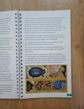 Guía de Bolsillo de Tavia (Portugal)