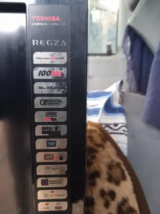 TV Toshiba Regza 100 2007/2010