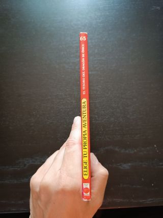 Elige tu propia aventura 65. El tesoro del dragón