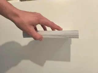 Manga quién es el 11 pasajero