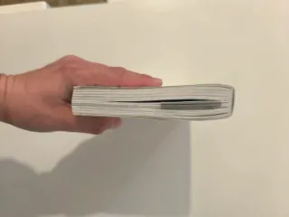 Manga quién es el 11 pasajero