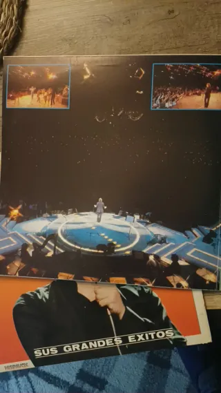 Due vinili di Raphael