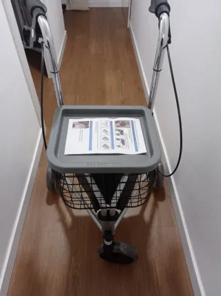 Andador 3 ruedas plata plegable