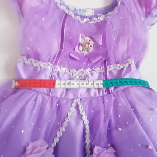 Disfraz vestido princesa Sofía Disney Aebai 10 año