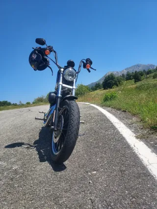 Harley Davidson Sportster 1200 R Carburación
