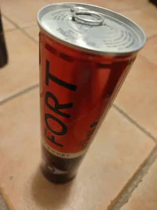 Palline da tennis Dunlop Fort Clay Court