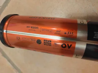 Palline da tennis Dunlop Fort Clay Court