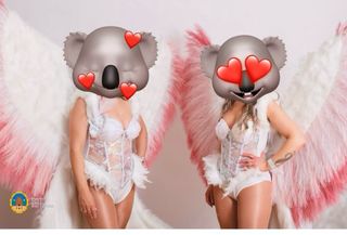 Disfraz Alas de Ángel Carnaval