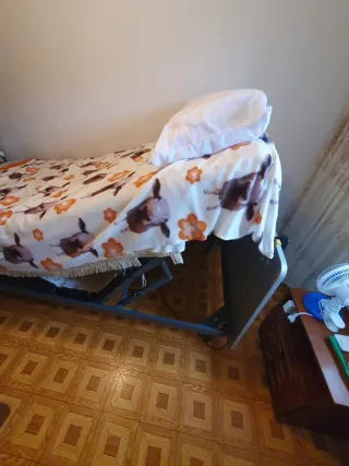 Cama individual articulada