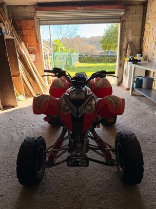 Quad Polaris 500