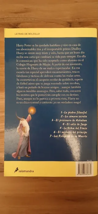 Harry Potter y la piedra filosofal (Harry Potte...