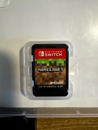 Minecraft Nintendo Switch