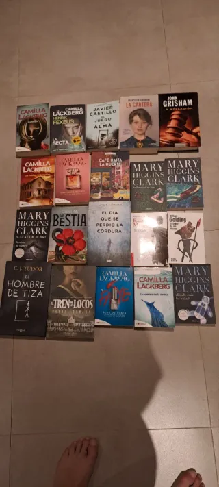 Lote de 40 libros de novelas y ficción