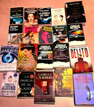 Lote de 40 libros de novelas y ficción