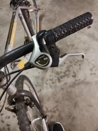 Bicicleta Ditterzo Gris y Naranja