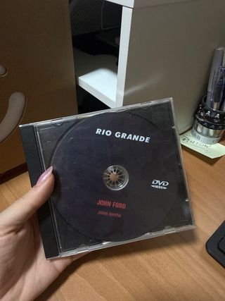 Lote 4 DVDs Westerns Clásicos (Español)