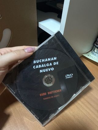 Lote 4 DVDs Westerns Clásicos (Español)