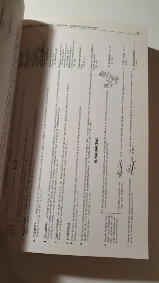 CLAVES DETERMINACION PLANTAS VASCULARES (BOTANI...