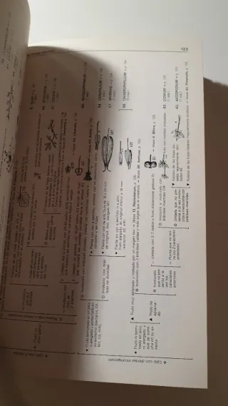 CLAVES DETERMINACION PLANTAS VASCULARES (BOTANI...