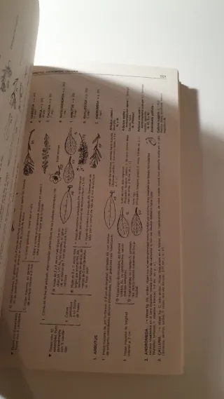 CLAVES DETERMINACION PLANTAS VASCULARES (BOTANI...
