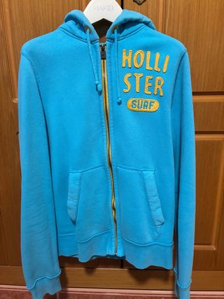 Sudaderas de Hollister, Tommy Hilfiger y El Ganso