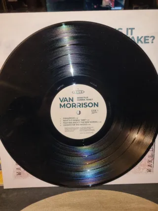 Vinilo doble Van Morrison What's It Gonna Take?