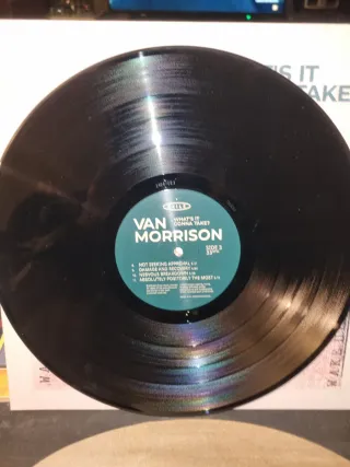 Vinilo doble Van Morrison What's It Gonna Take?