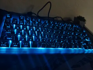 Teclado Mecánico Skyloong GK75 Negro con leds azul