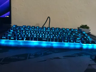 Teclado Mecánico Skyloong GK75 Negro con leds azul