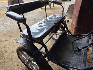 Carro para poni 2 ruedas