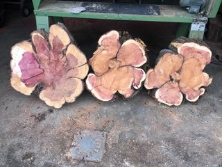 Rodajas de madera de sabina con veta púrpura