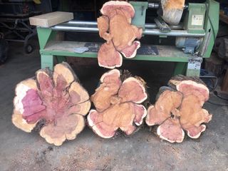 Rodajas de madera de sabina con veta púrpura