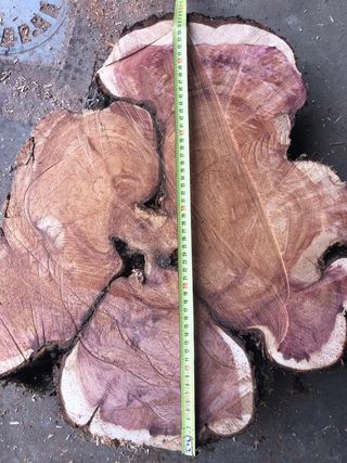 Rodajas de madera de sabina con veta púrpura