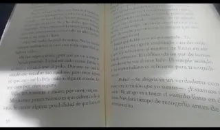 La boda de la asistenta (La asistenta)