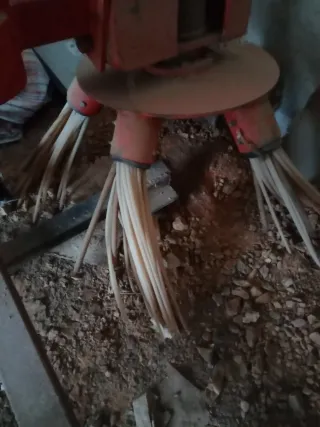 Barredora de sarmientos