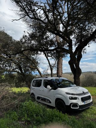 Citroen Berlingo 2021