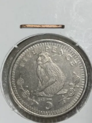 Moneda Gibraltar 5 Pence Mono