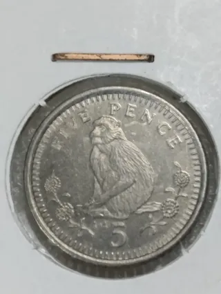 Moneda Gibraltar 5 Pence Mono