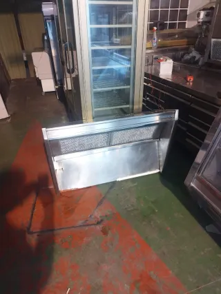 Campana extractora inoxidable