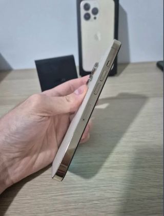 iPhone 13 Pro 512 GB Dorado/Plateado