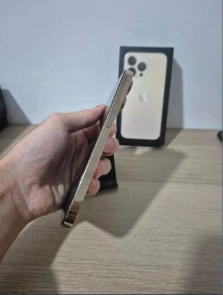 iPhone 13 Pro 512 GB Dorado/Plateado